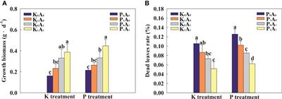 Aspergillus aculeatus enhances nutrient uptake and forage quality in bermudagrass by increasing phosphorus and potassium availability